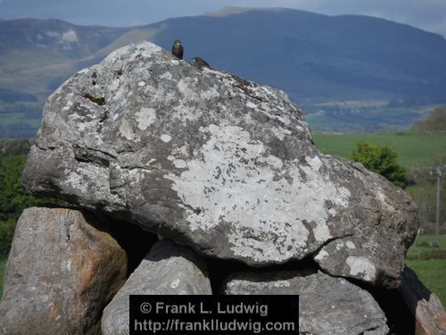 Carrowmore